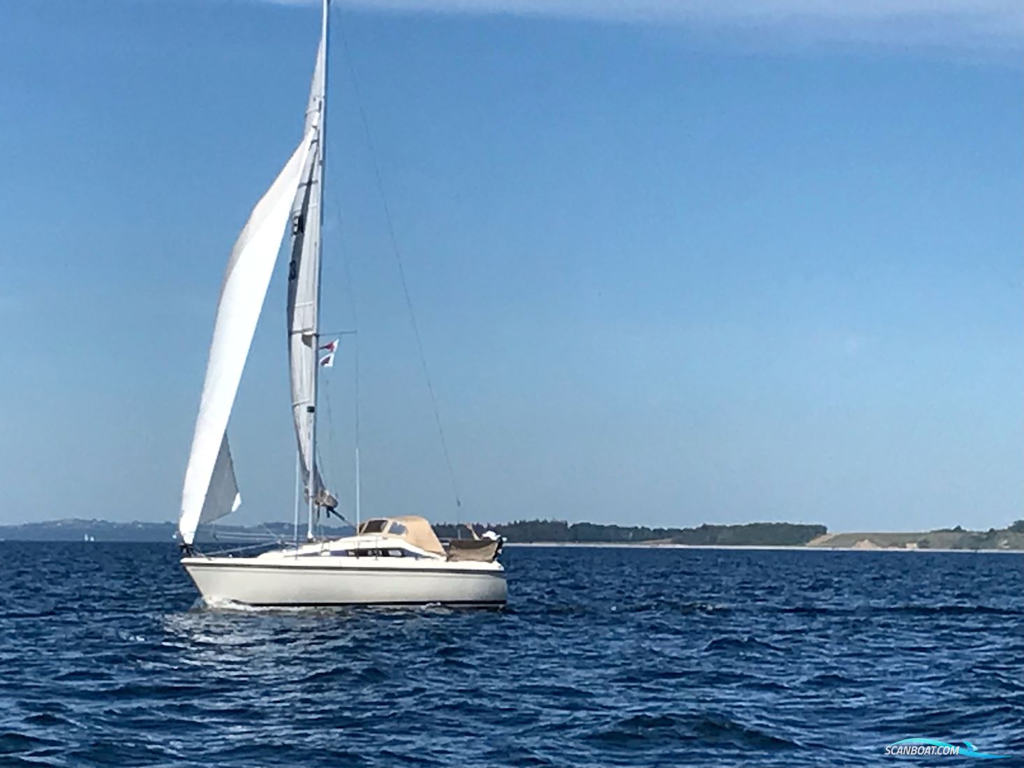 Maxi Fenix