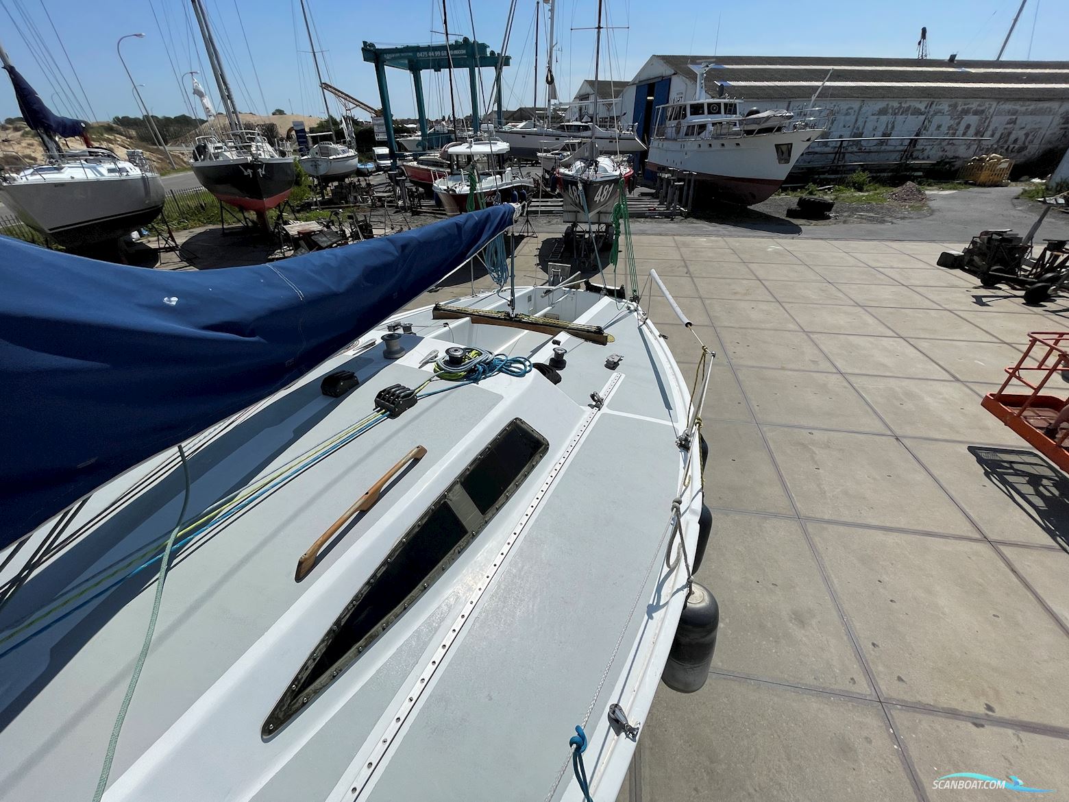 Michel Joubert Extra Paulette ¼ Tonner