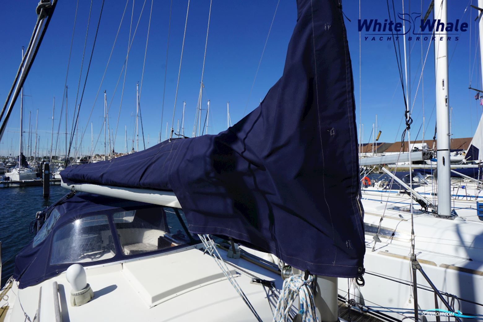 Midget 31