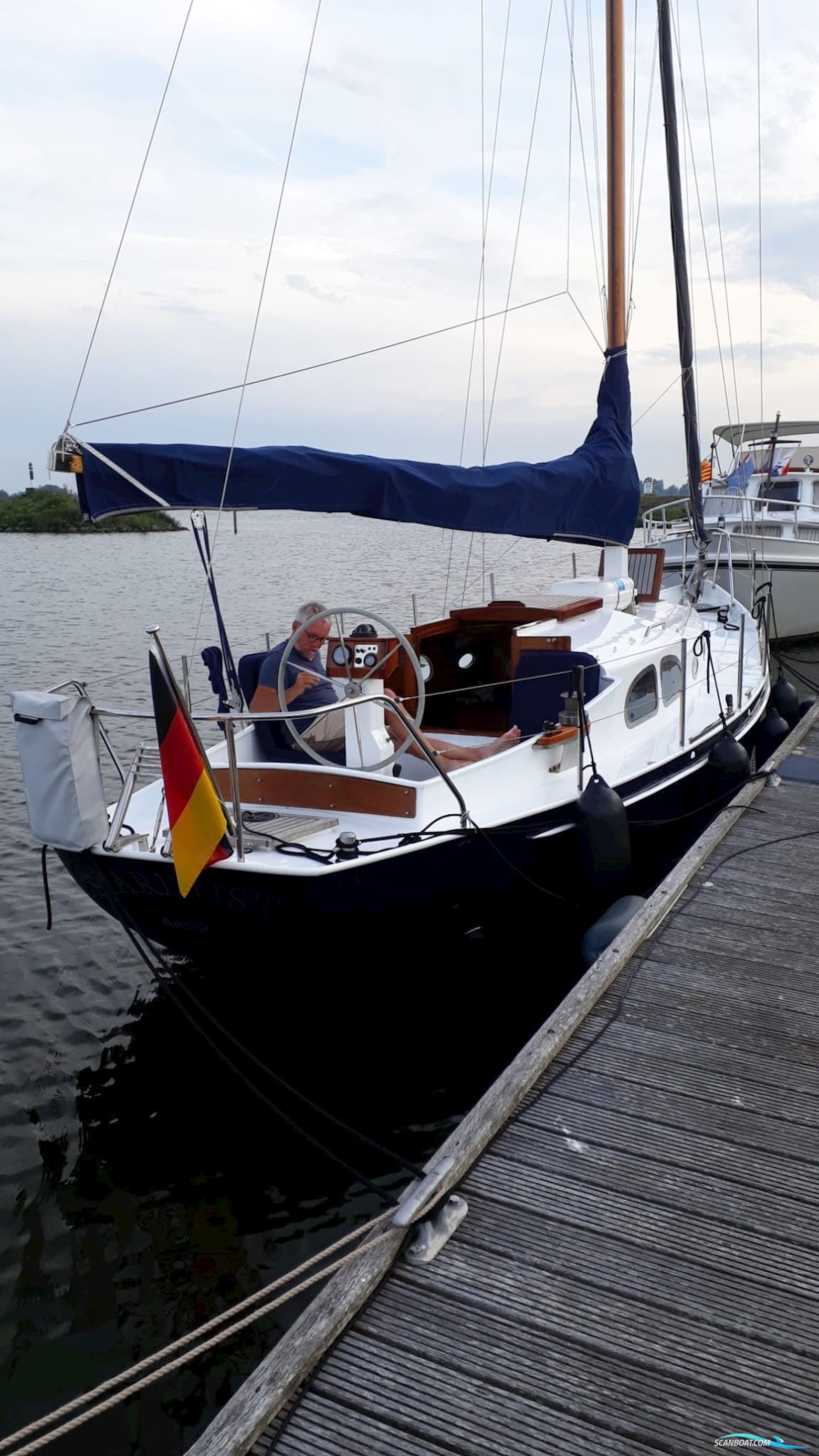 Moerman 29