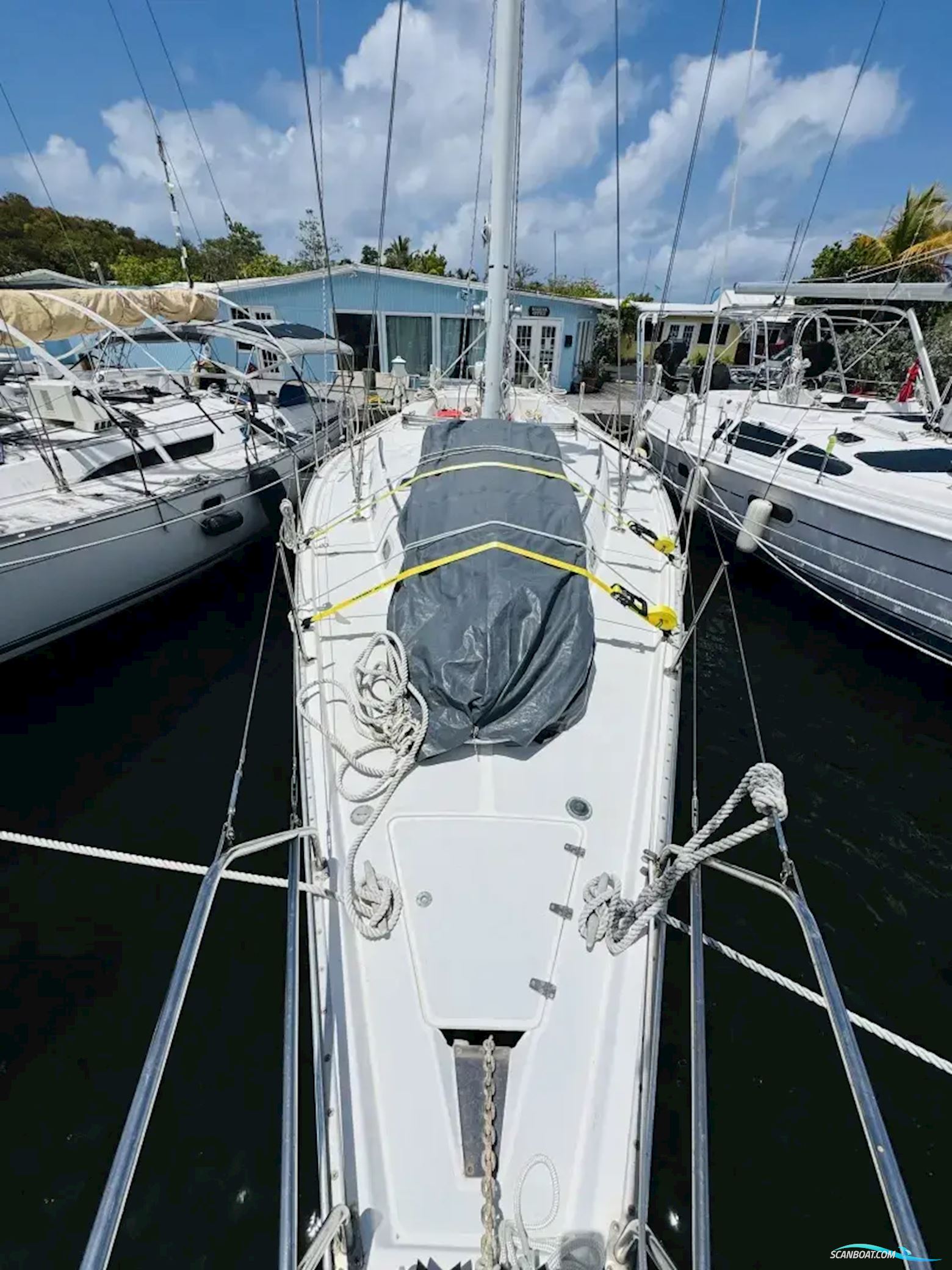 Morgan 45