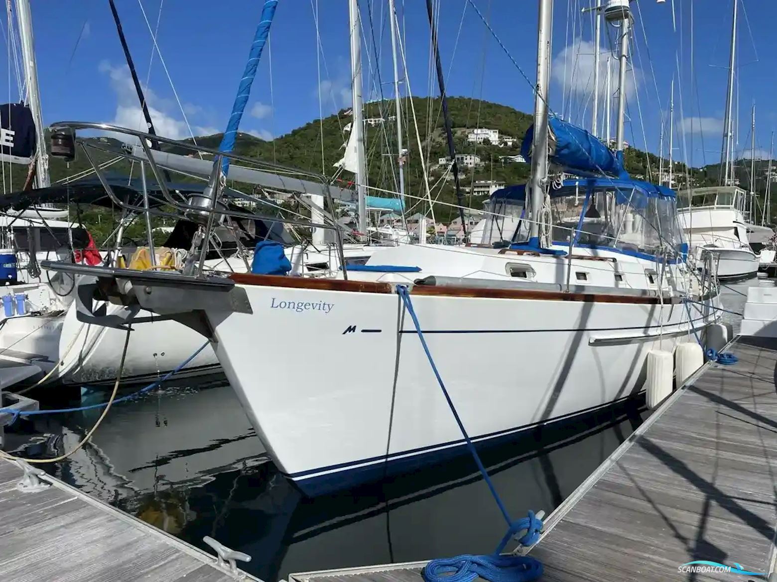 Morgan 462