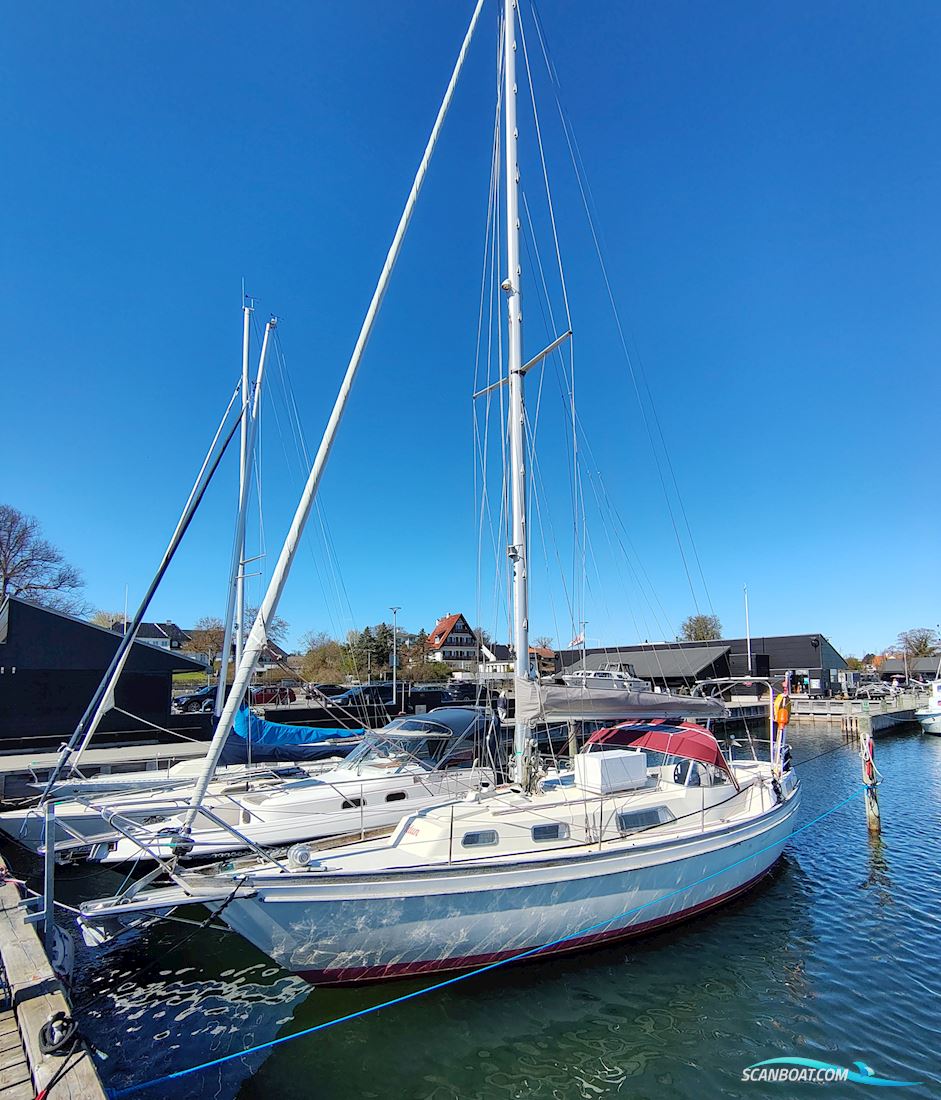 Najad 34 Sejlbåd 1980, med Volvo Penta 2040MD motor, Danmark
