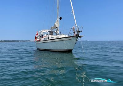 Najad 34 Sejlbåd 1981, med Volvo Penta MD17C motor, Danmark