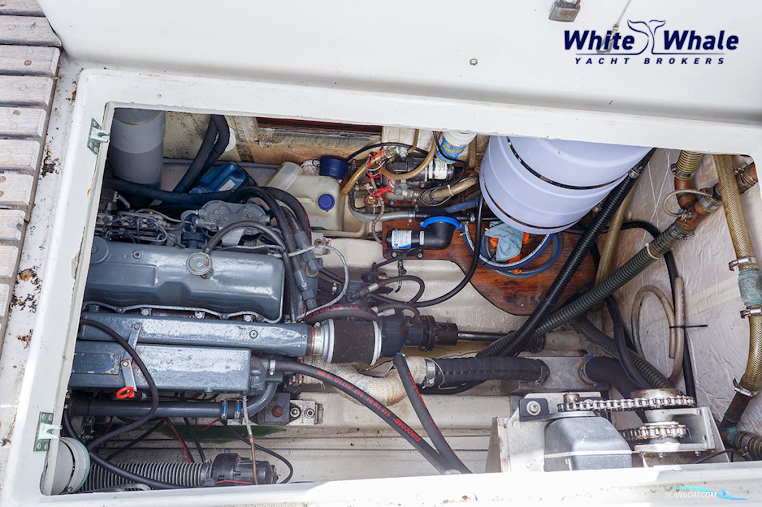 NAUTIC SAINTONGE NS44CC