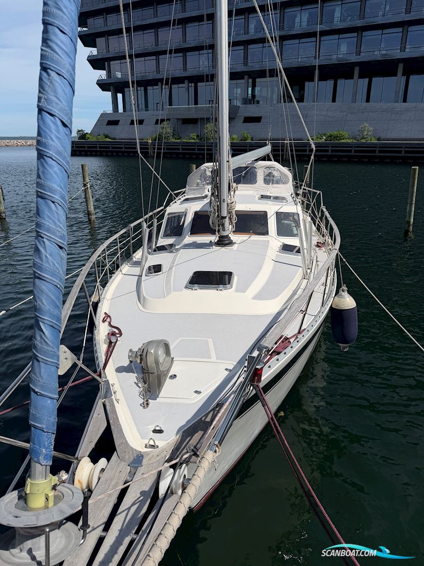Nauticat 40
