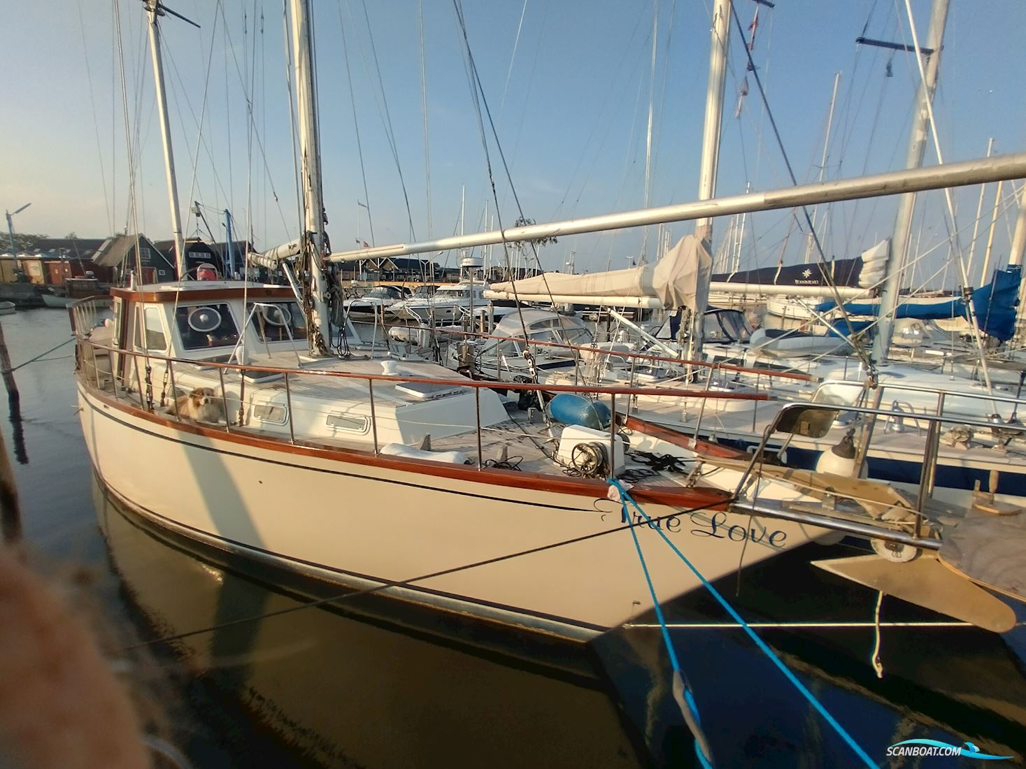 Nauticat 52 Sejlbåd 1982, med Volvo Penta Tamd 60A motor, Danmark