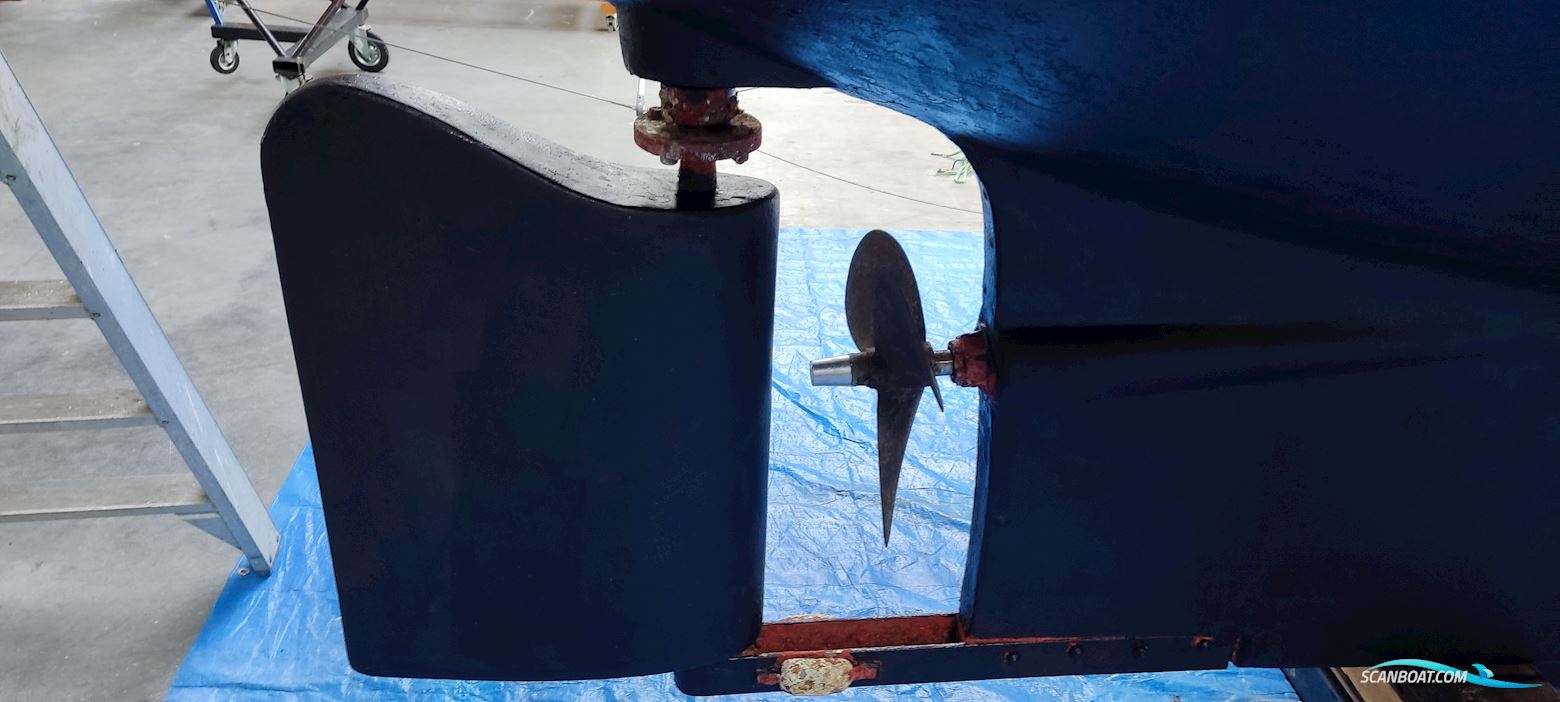 Neptunus Aalst Dartsailer 30