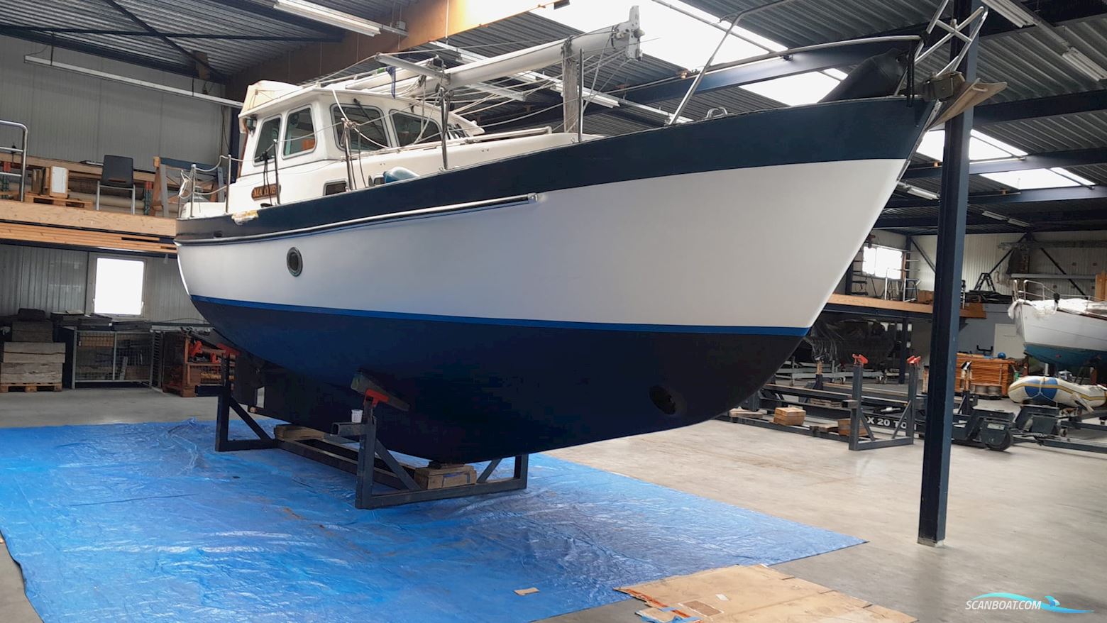 Neptunus Aalst Dartsailer 30