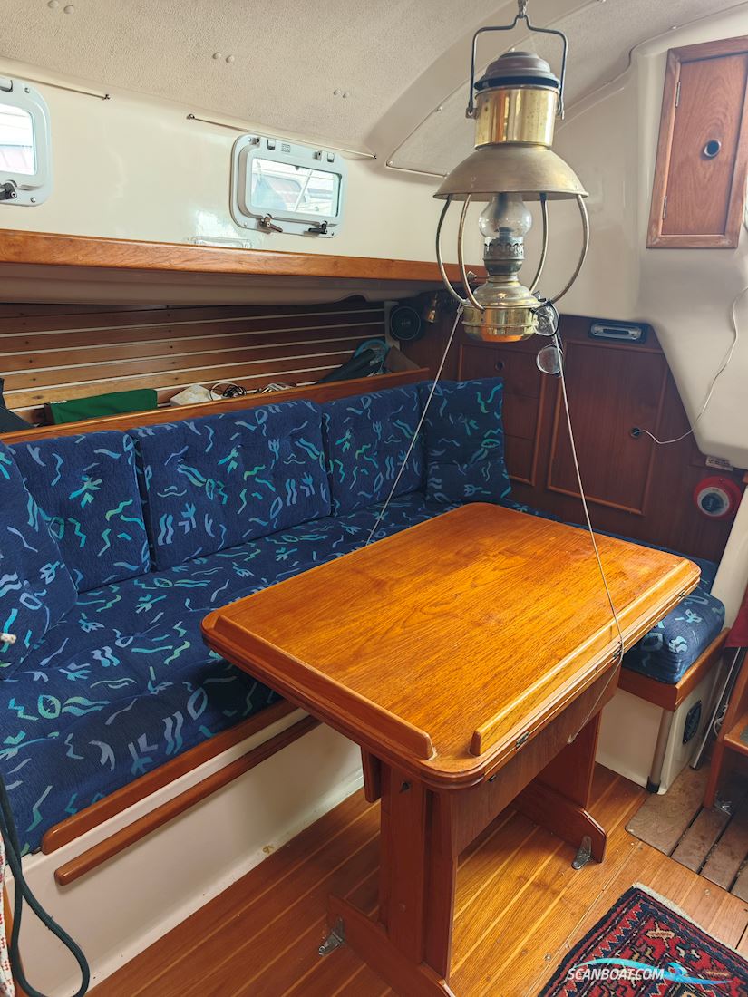 Nonsuch 30U