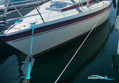 Nordship 27 Sejlbåd 1987, med Nanni motor, Danmark