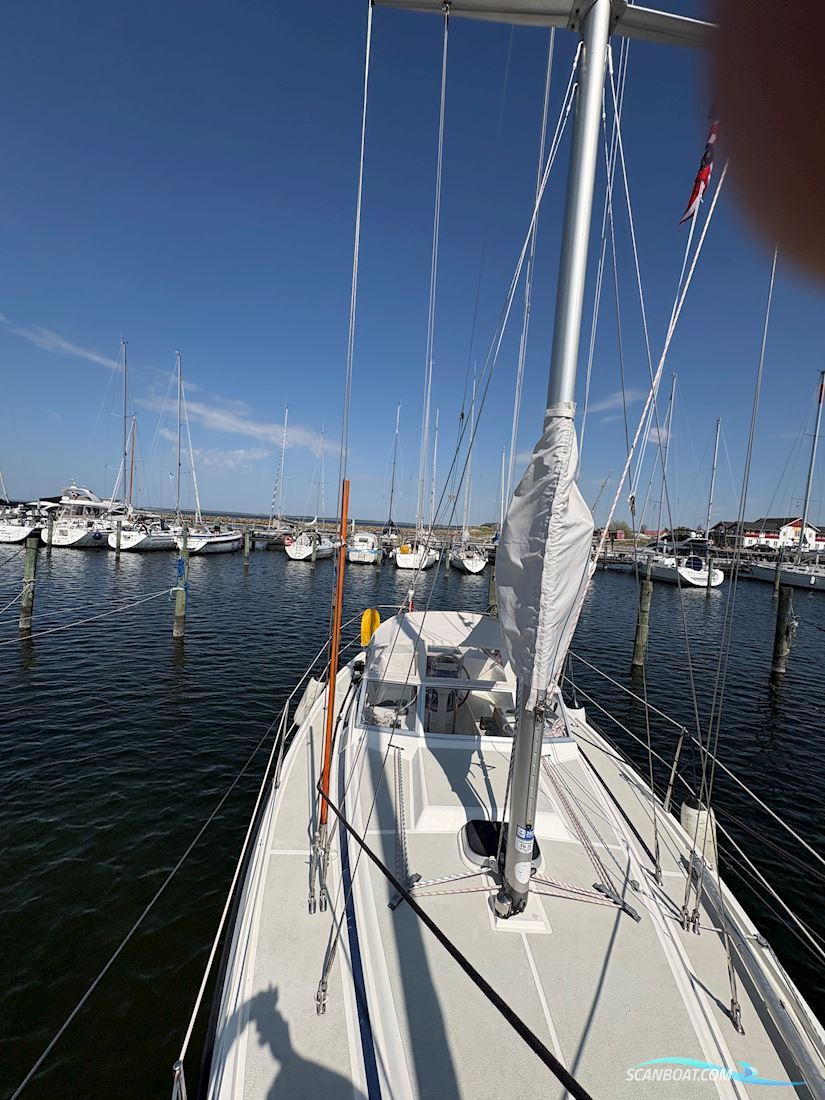 Nordship 29