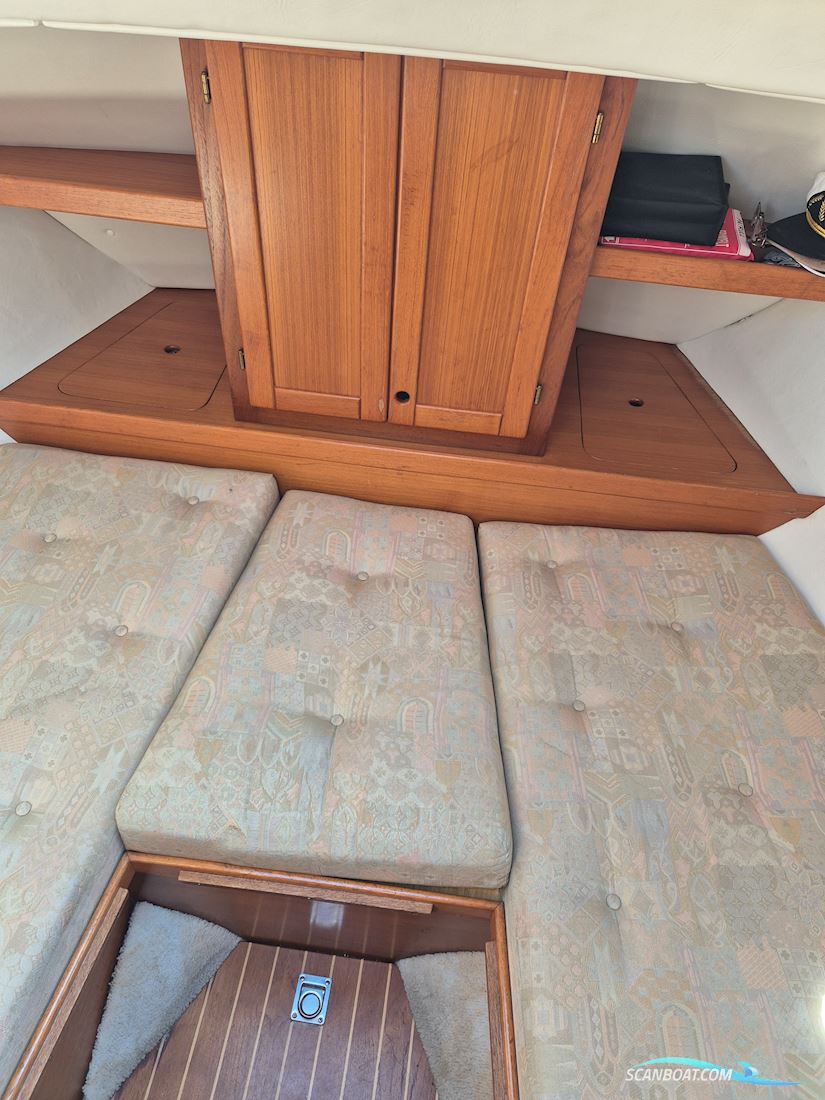 Nordship 31