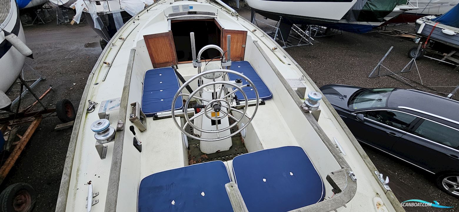 Oe36
