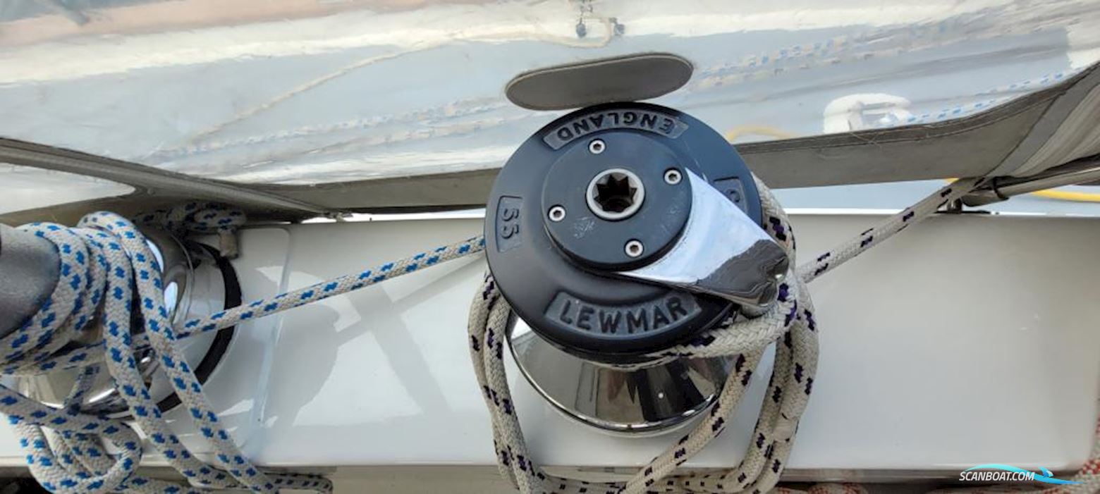 ONE OFF DESIGN Pamina 55