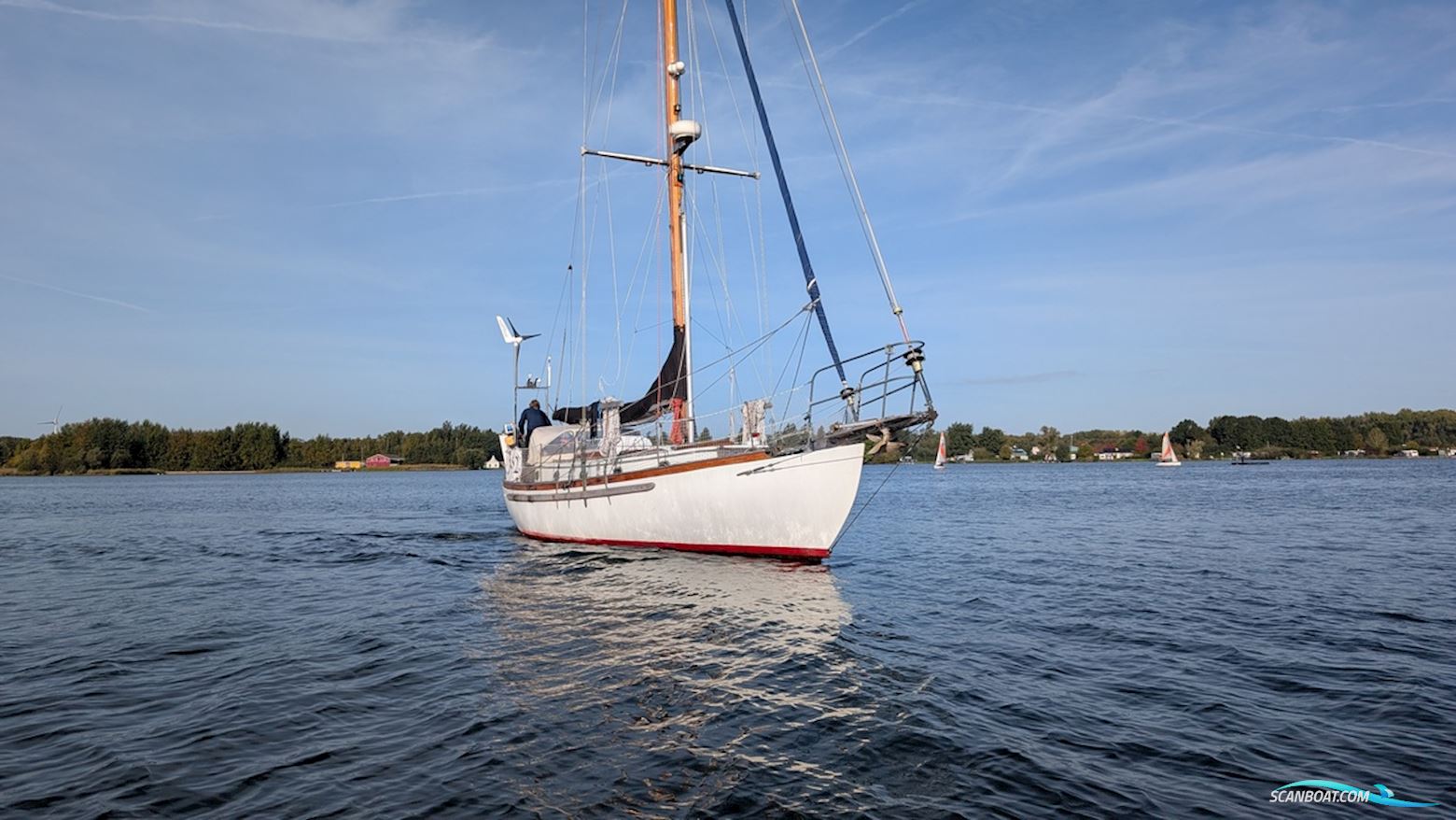 Orca 38