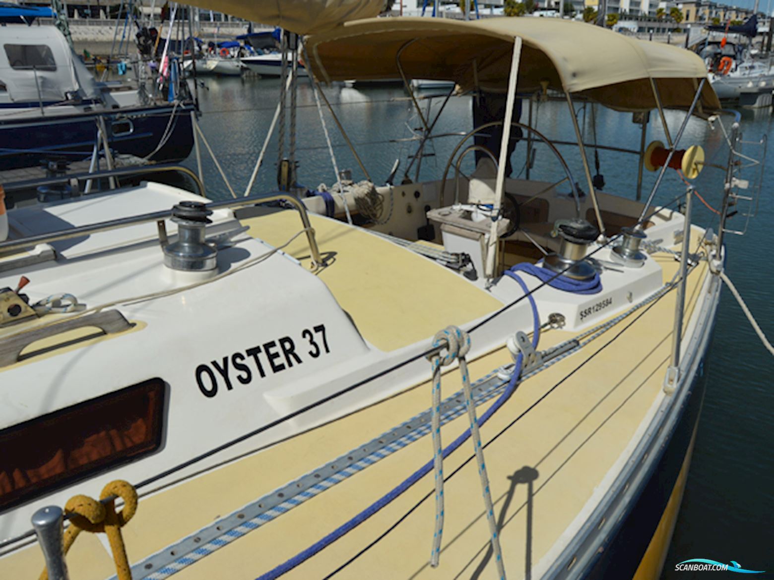 Oyster 37
