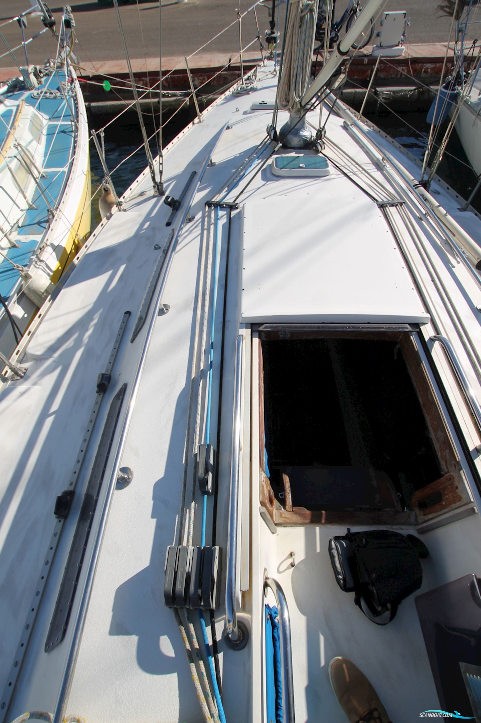 Oyster Lightwave 395