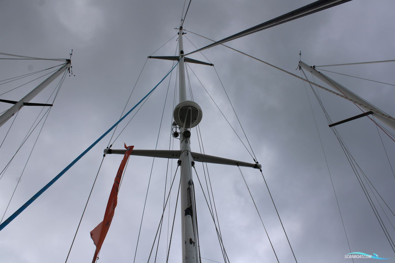 Pieter Beeldsnijder 40