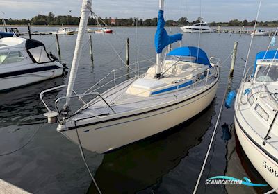 Polaris Drabant 26 Sejlbåd 1981, med Yanmar motor, Danmark