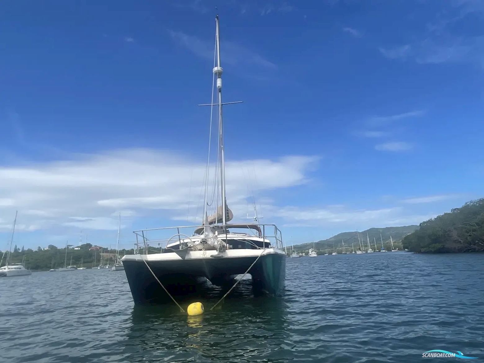 Prout Snowgoose 37