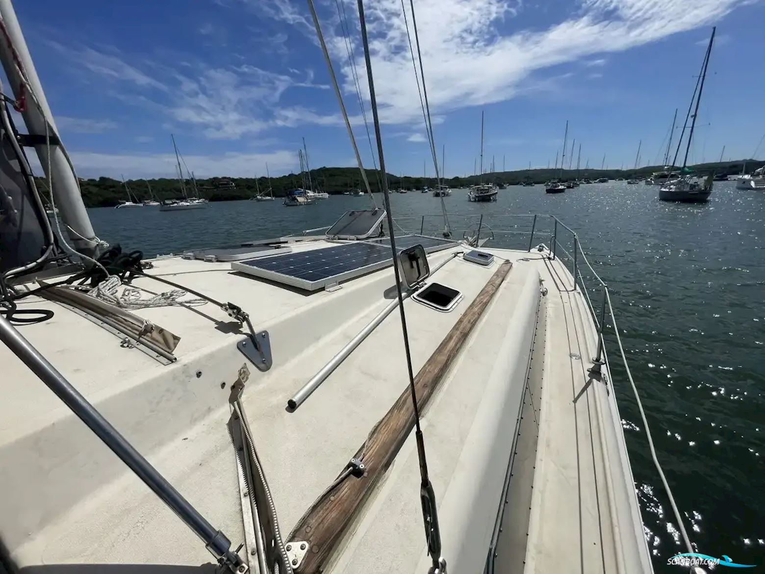 Prout Snowgoose 37
