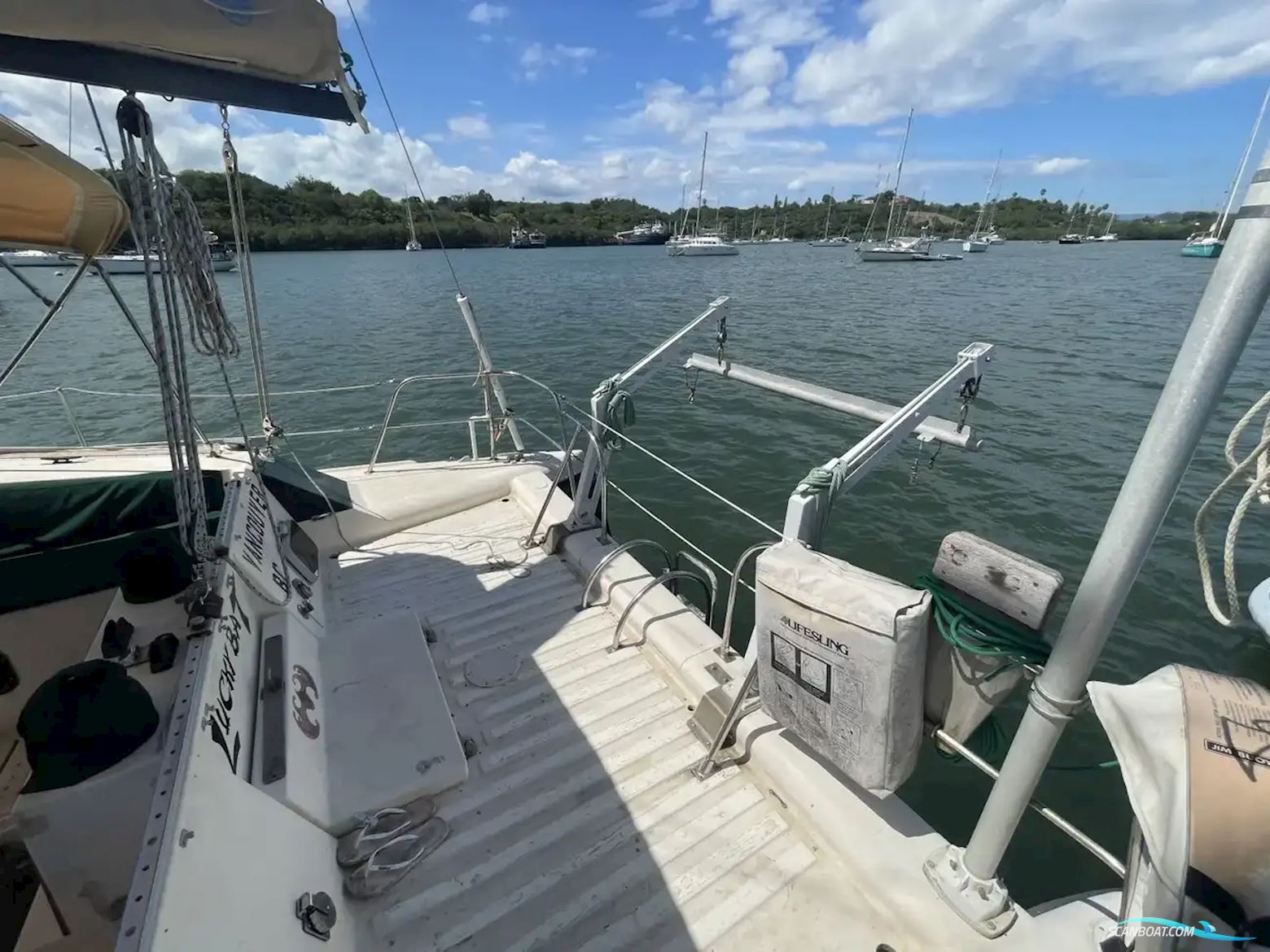 Prout Snowgoose 37
