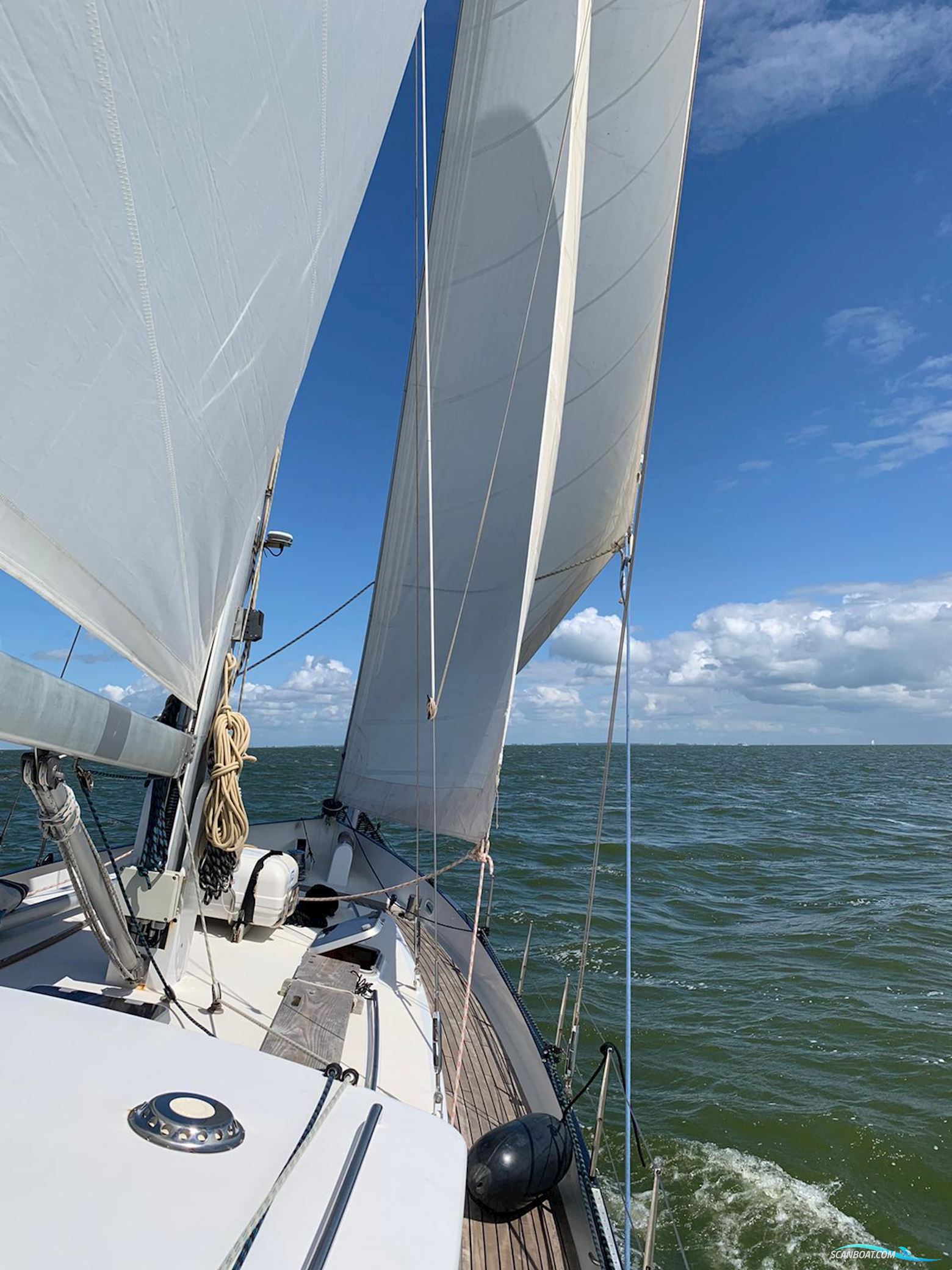 Puffin 42
