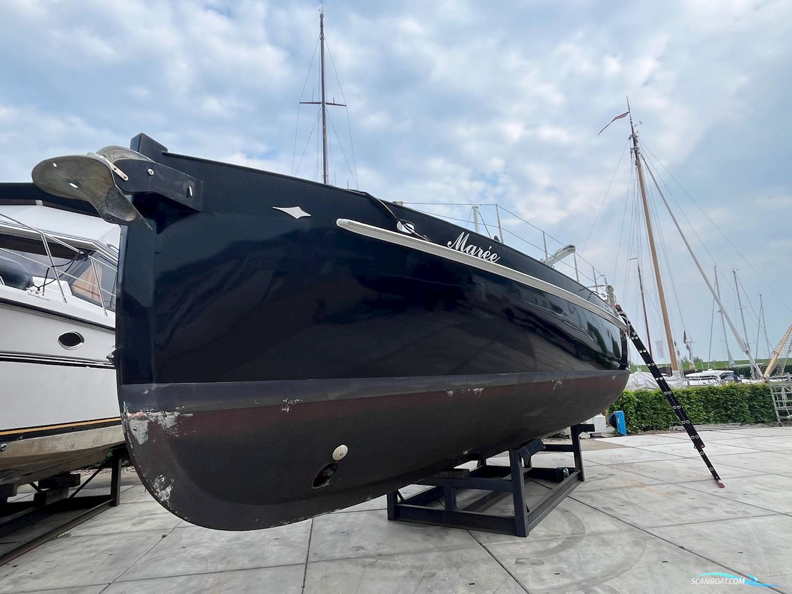 Puffin 42