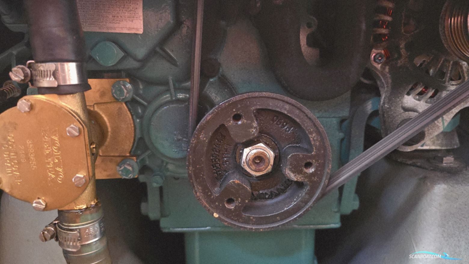 Rebel 41
