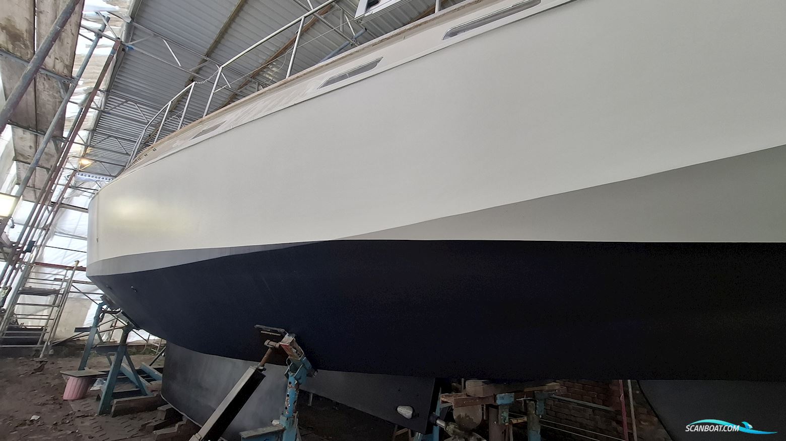 Reinke Hydra 50