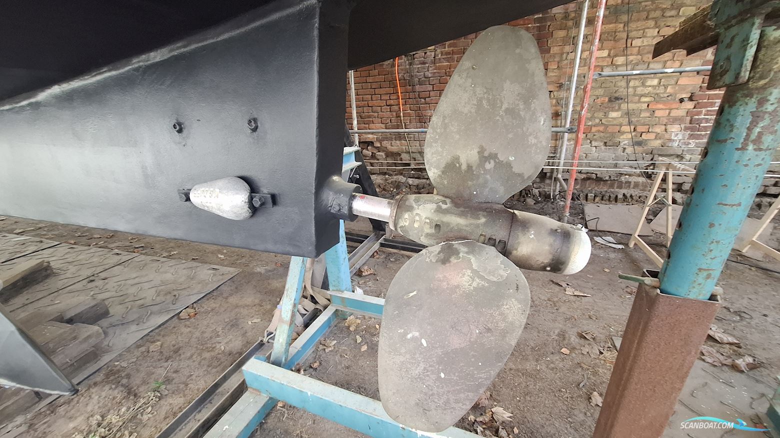 Reinke Hydra 50