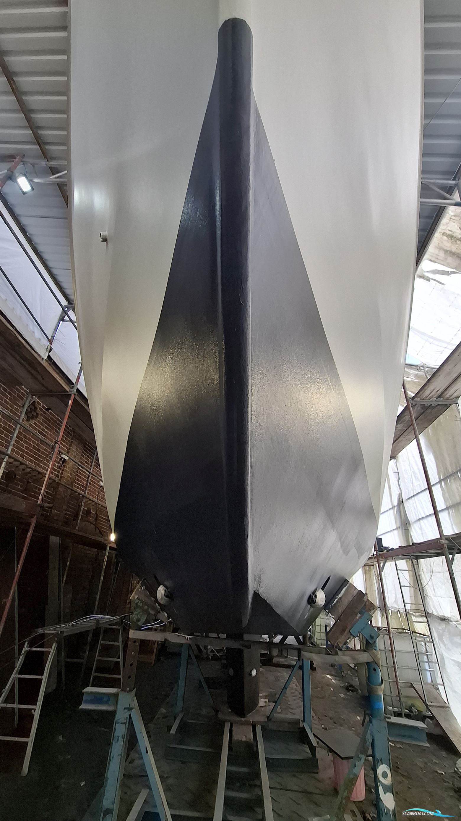 Reinke Hydra 50