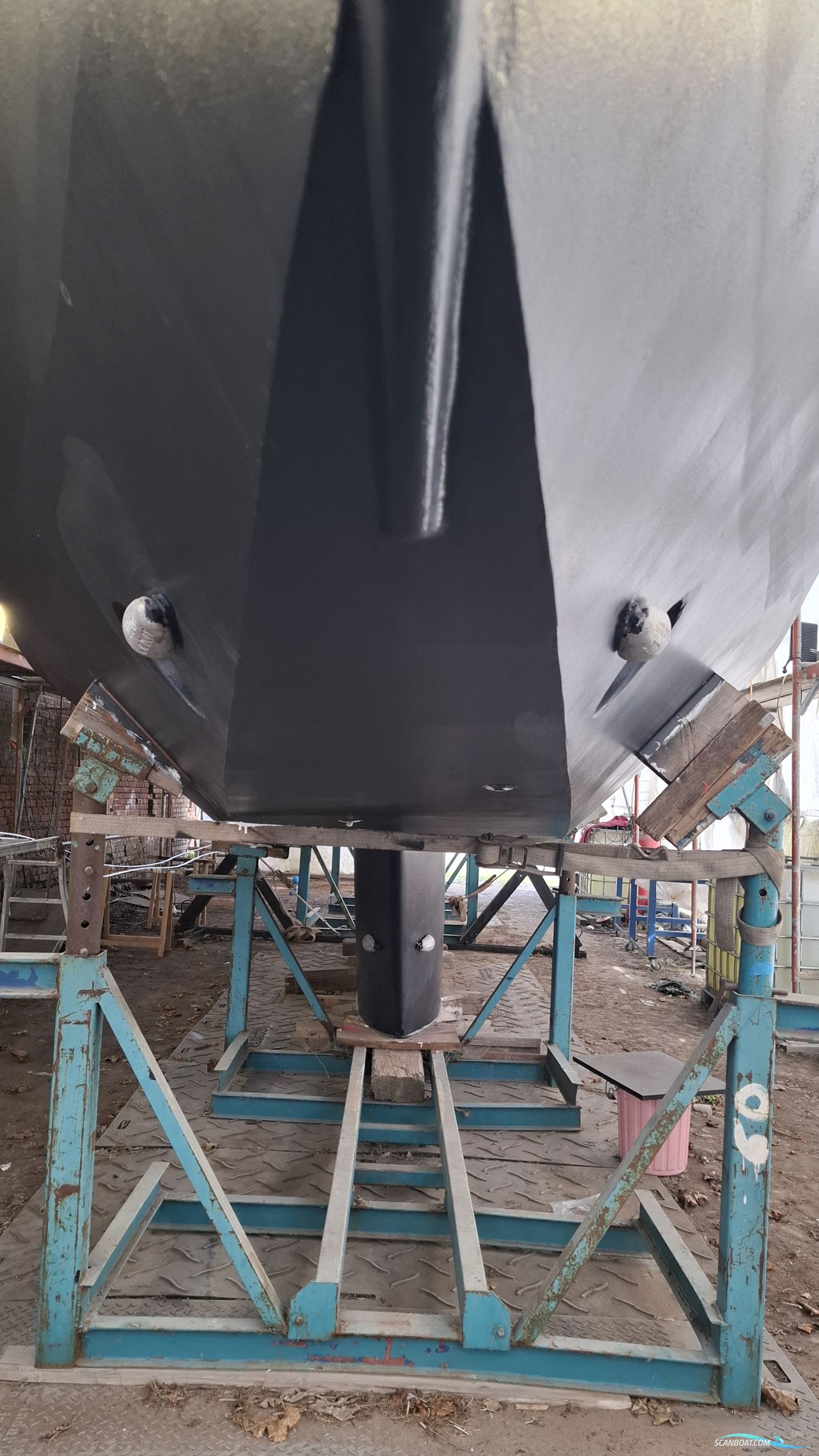 Reinke Hydra 50