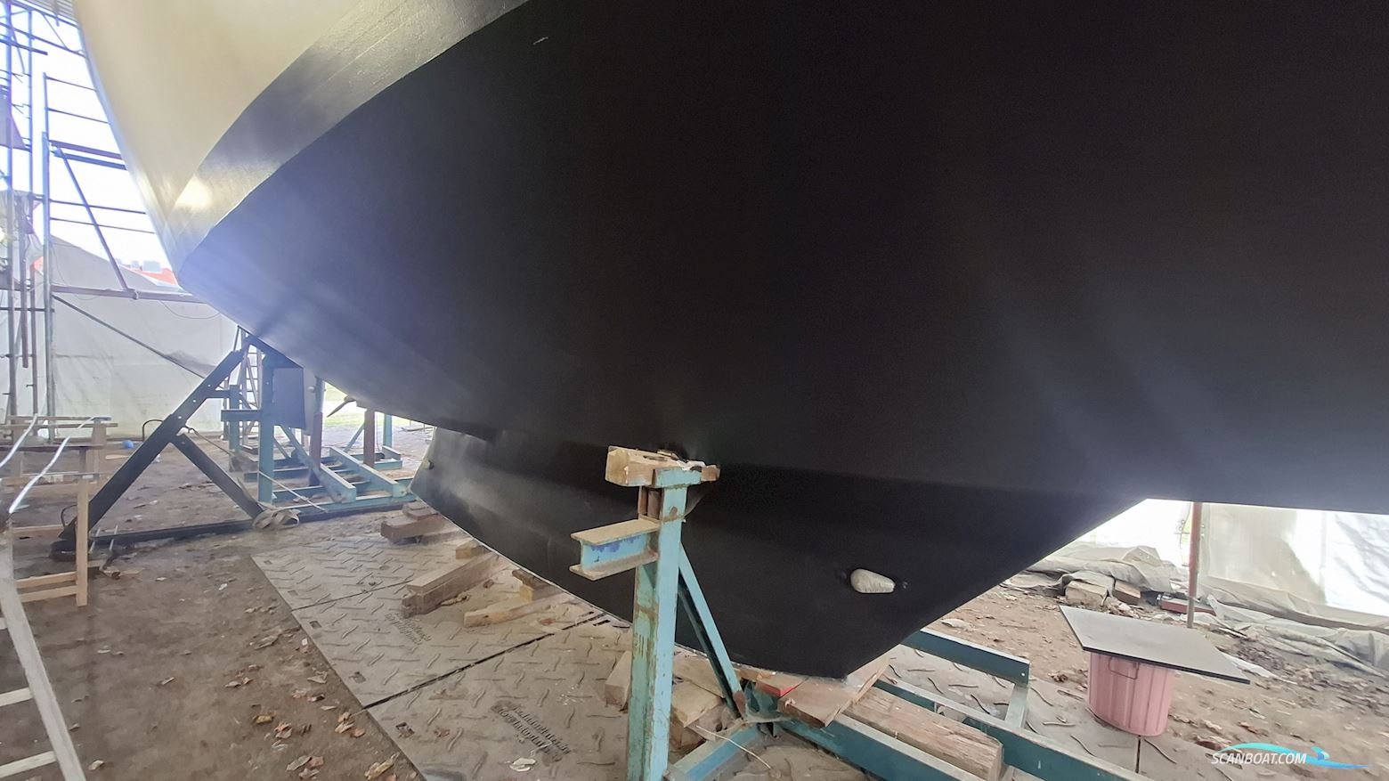 Reinke Hydra 50