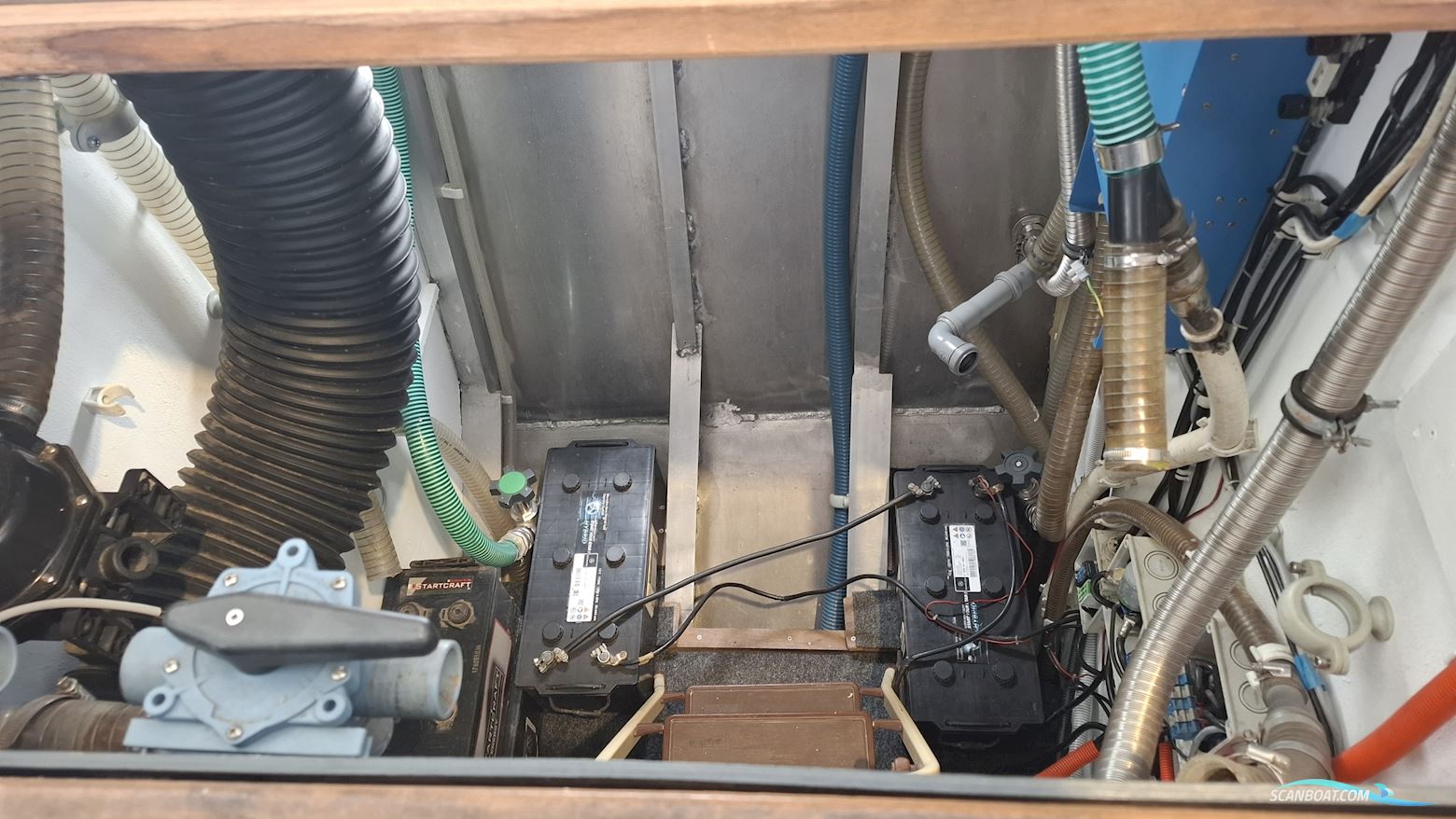Reinke Hydra 50