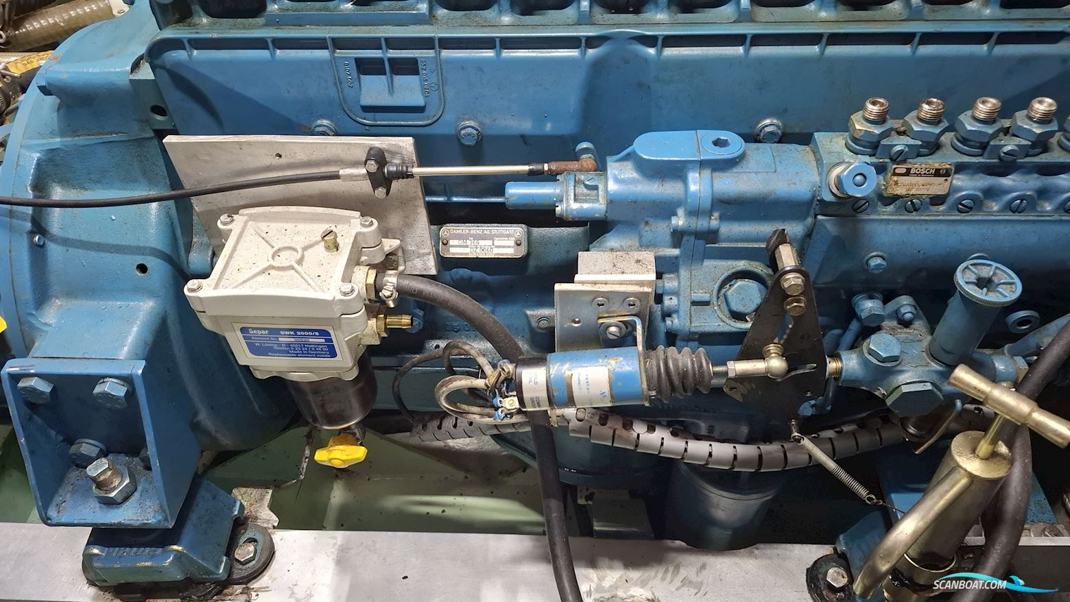Reinke Hydra 50