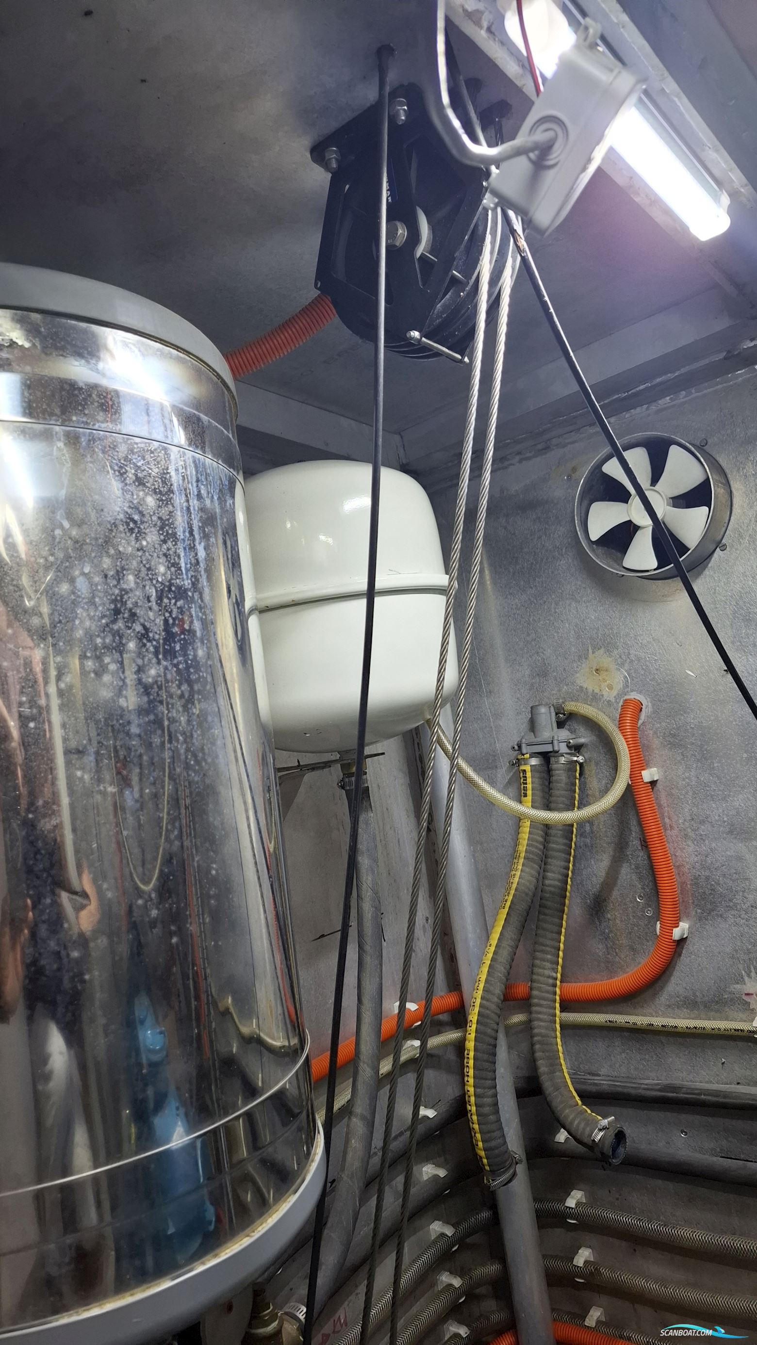 Reinke Hydra 50