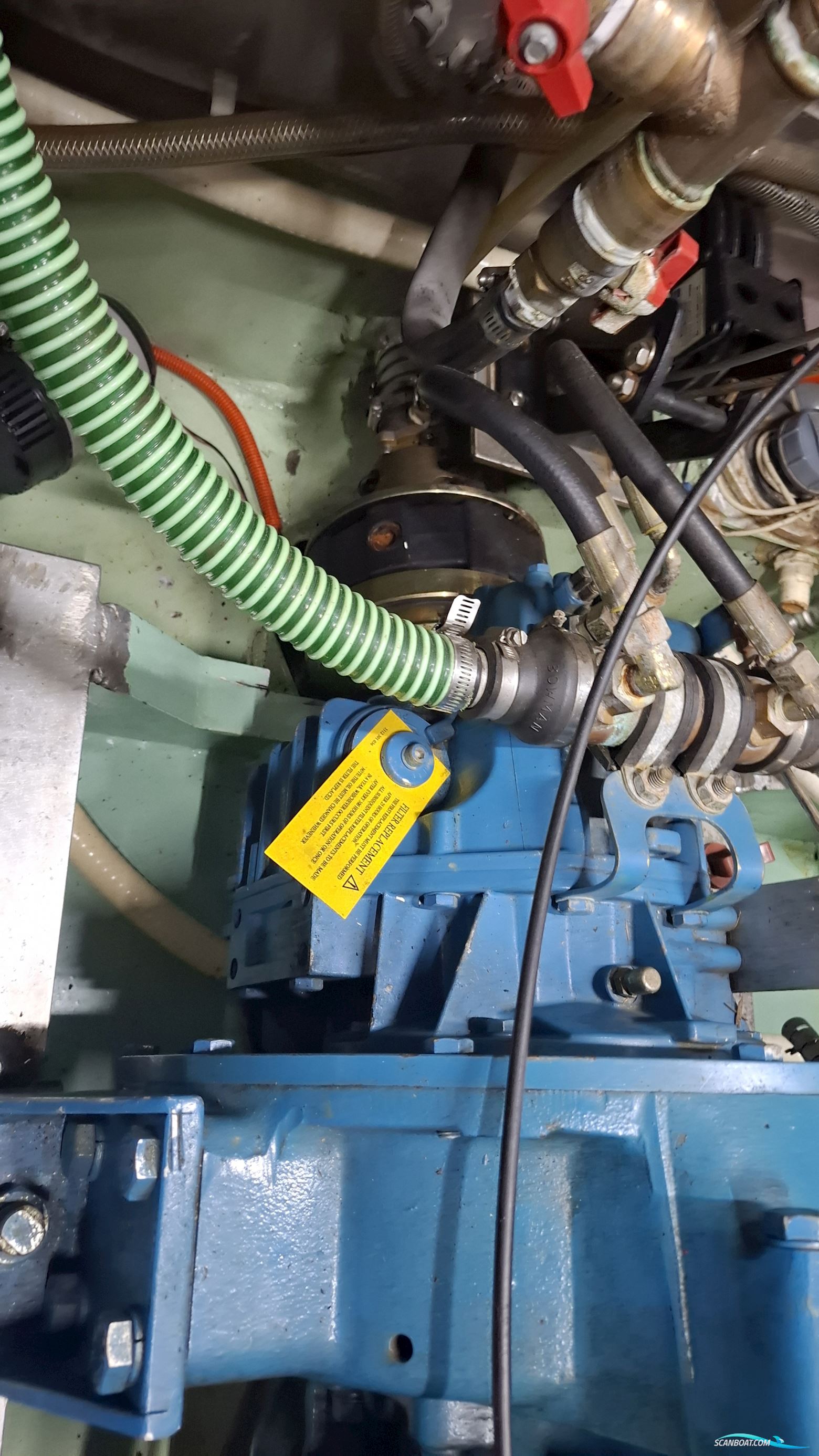 Reinke Hydra 50