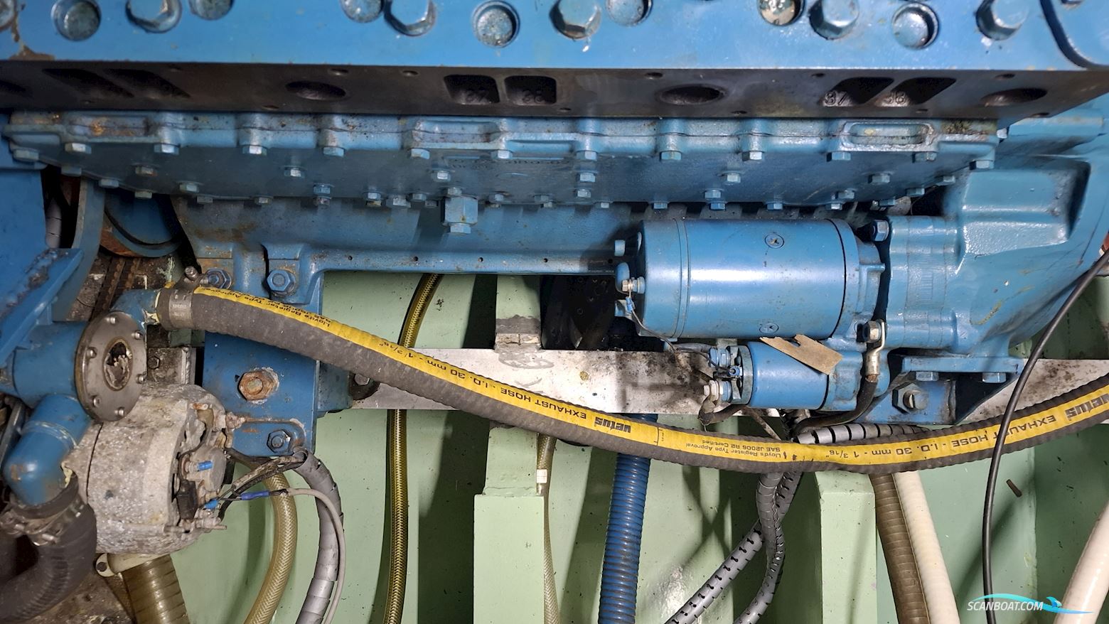 Reinke Hydra 50