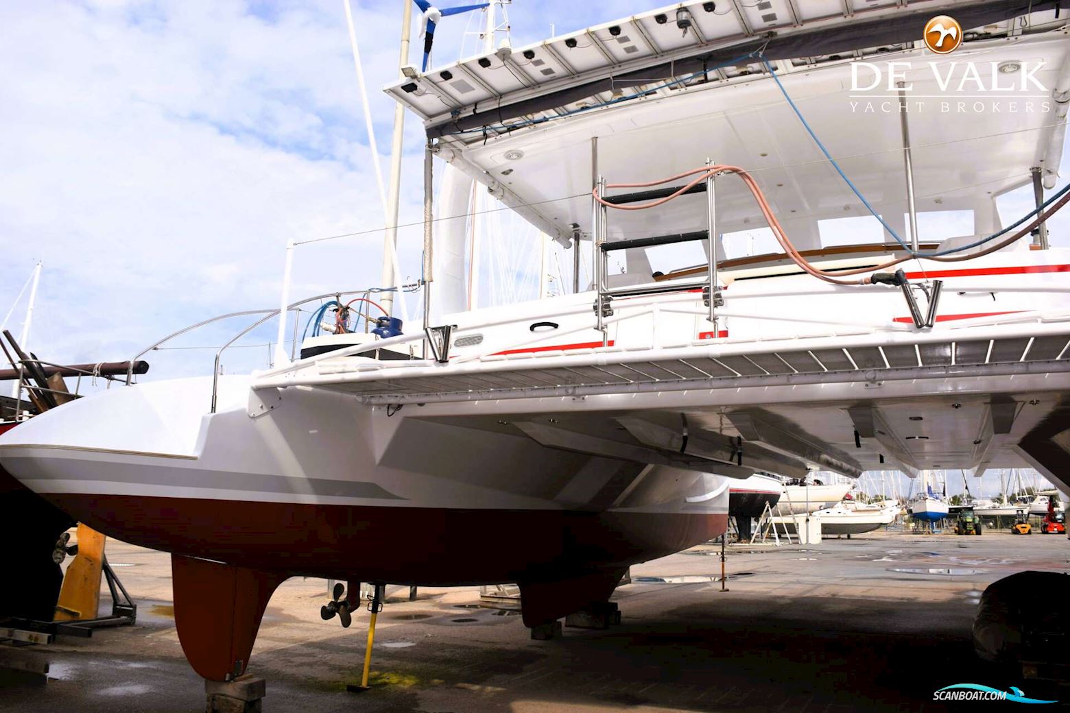 Robertson & Caine One off