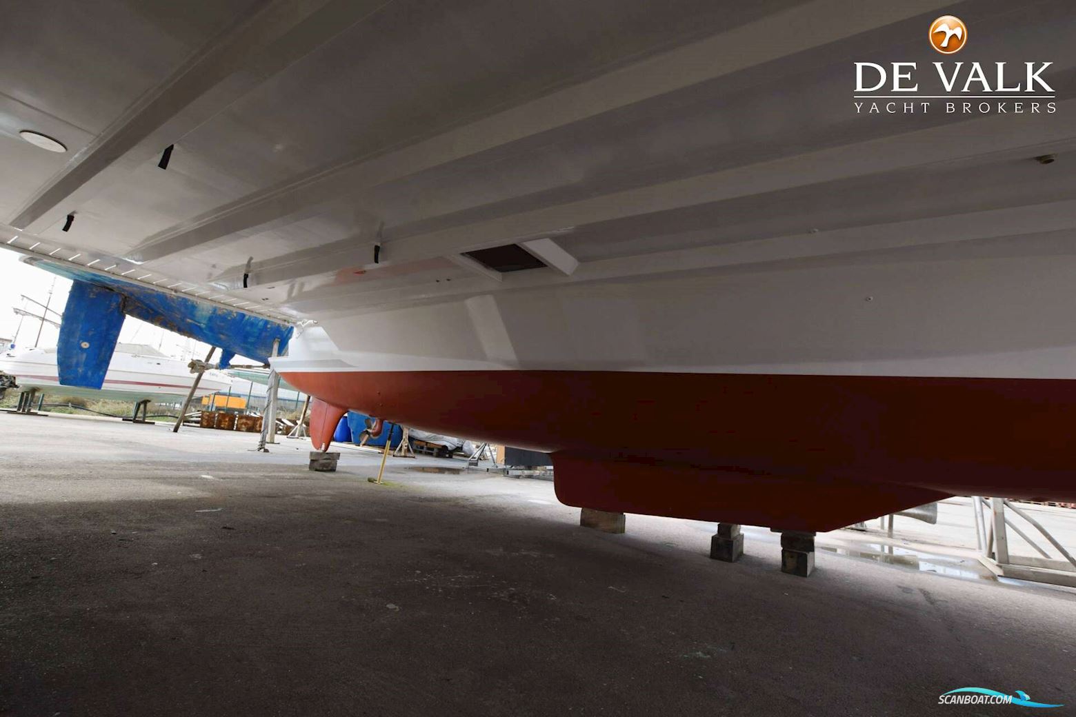 Robertson & Caine One off