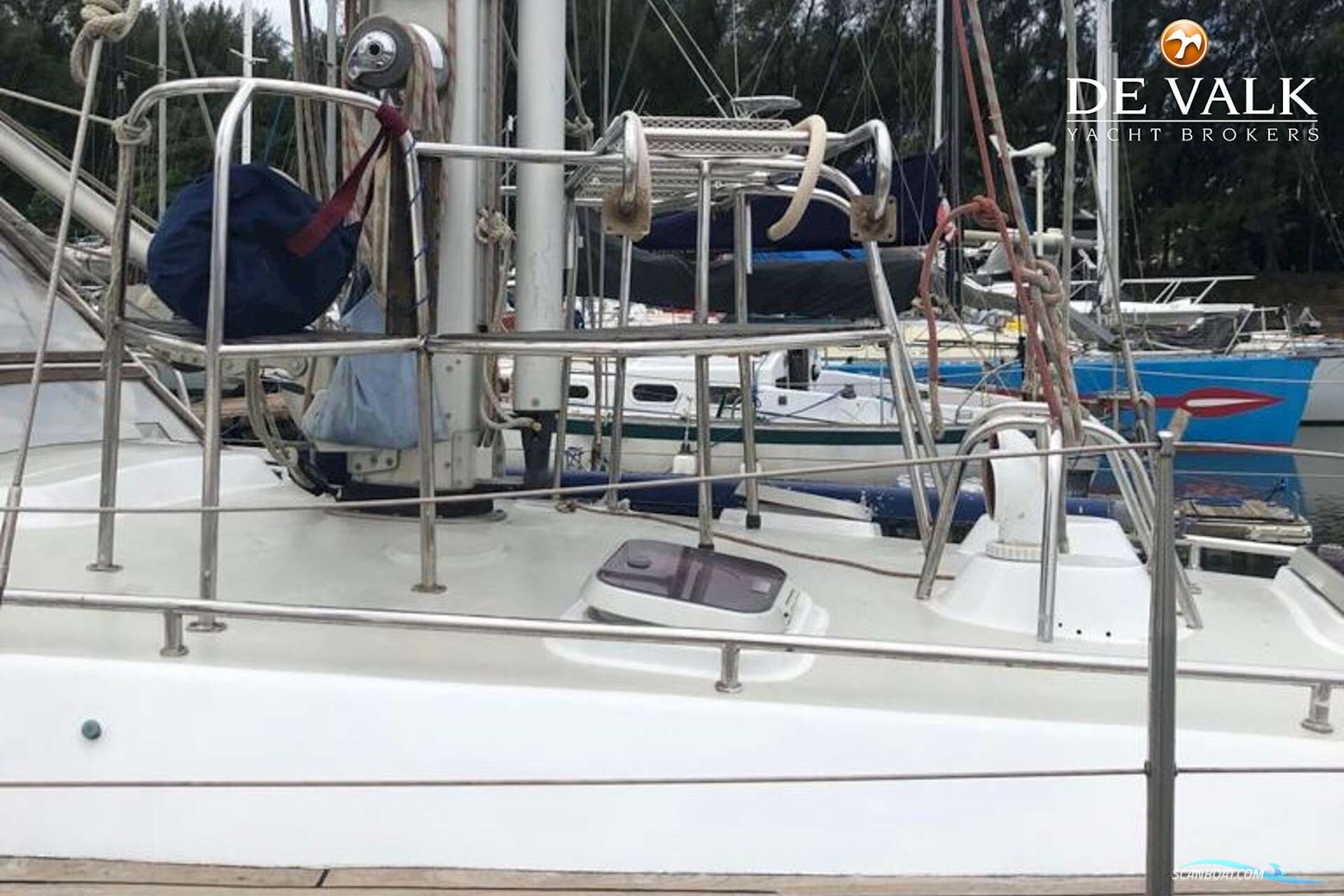 RON HOLLAND Omega 46