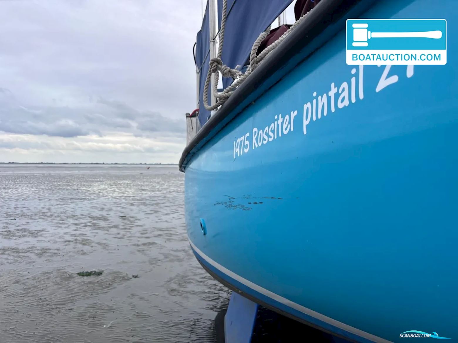 Rossiter Pintail 27