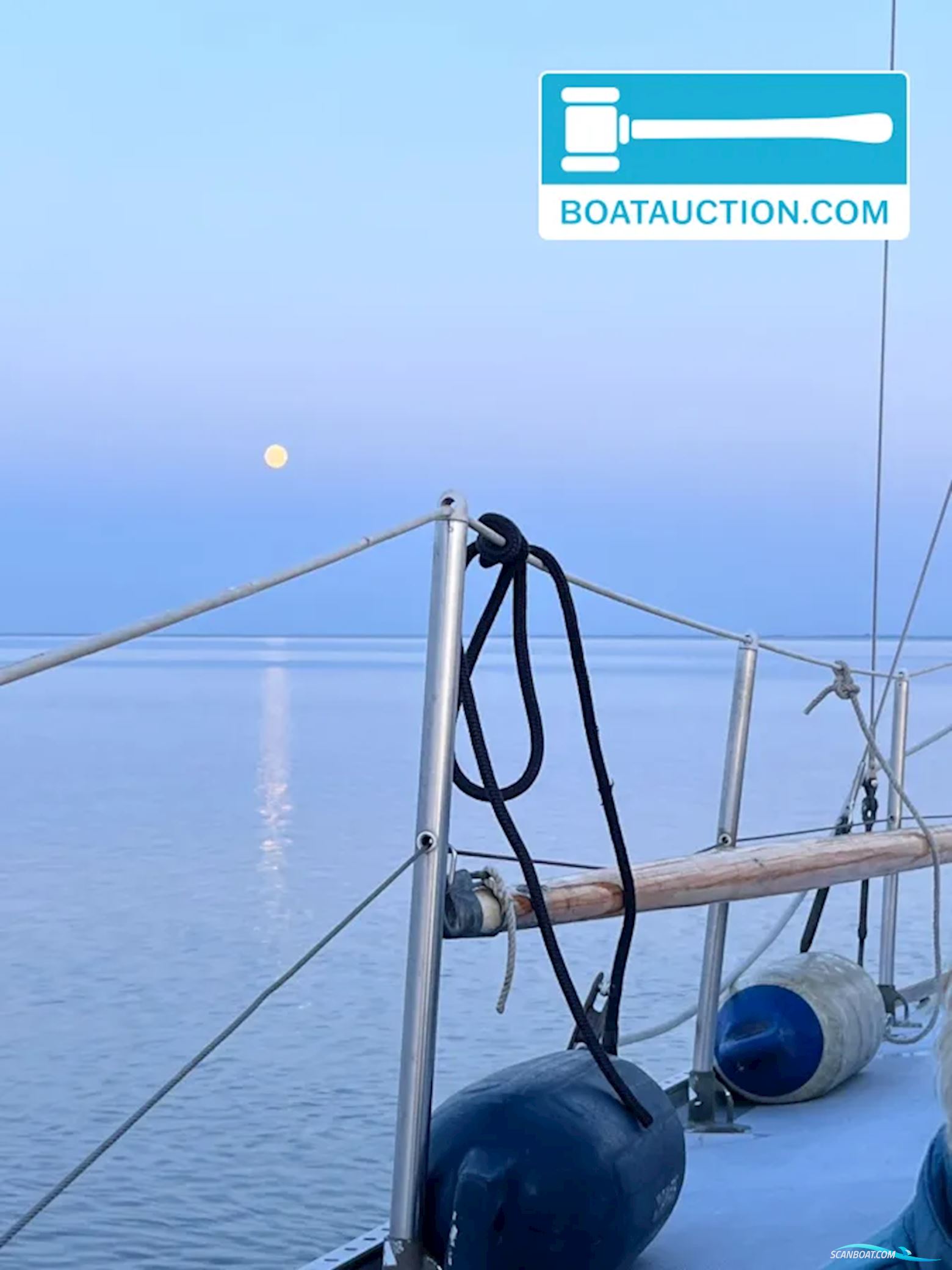 Rossiter Pintail 27