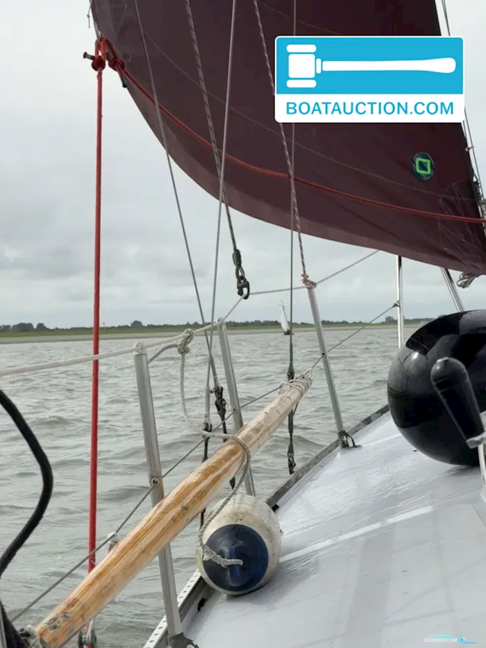 Rossiter Pintail 27