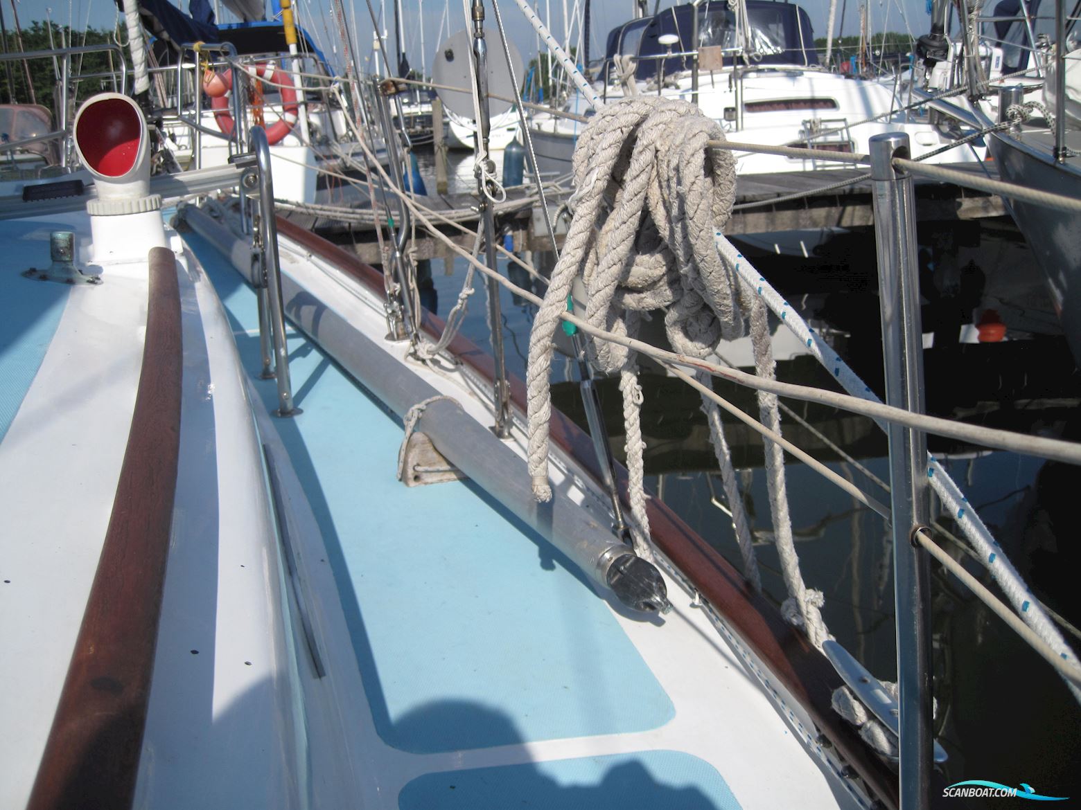 Rustler 31