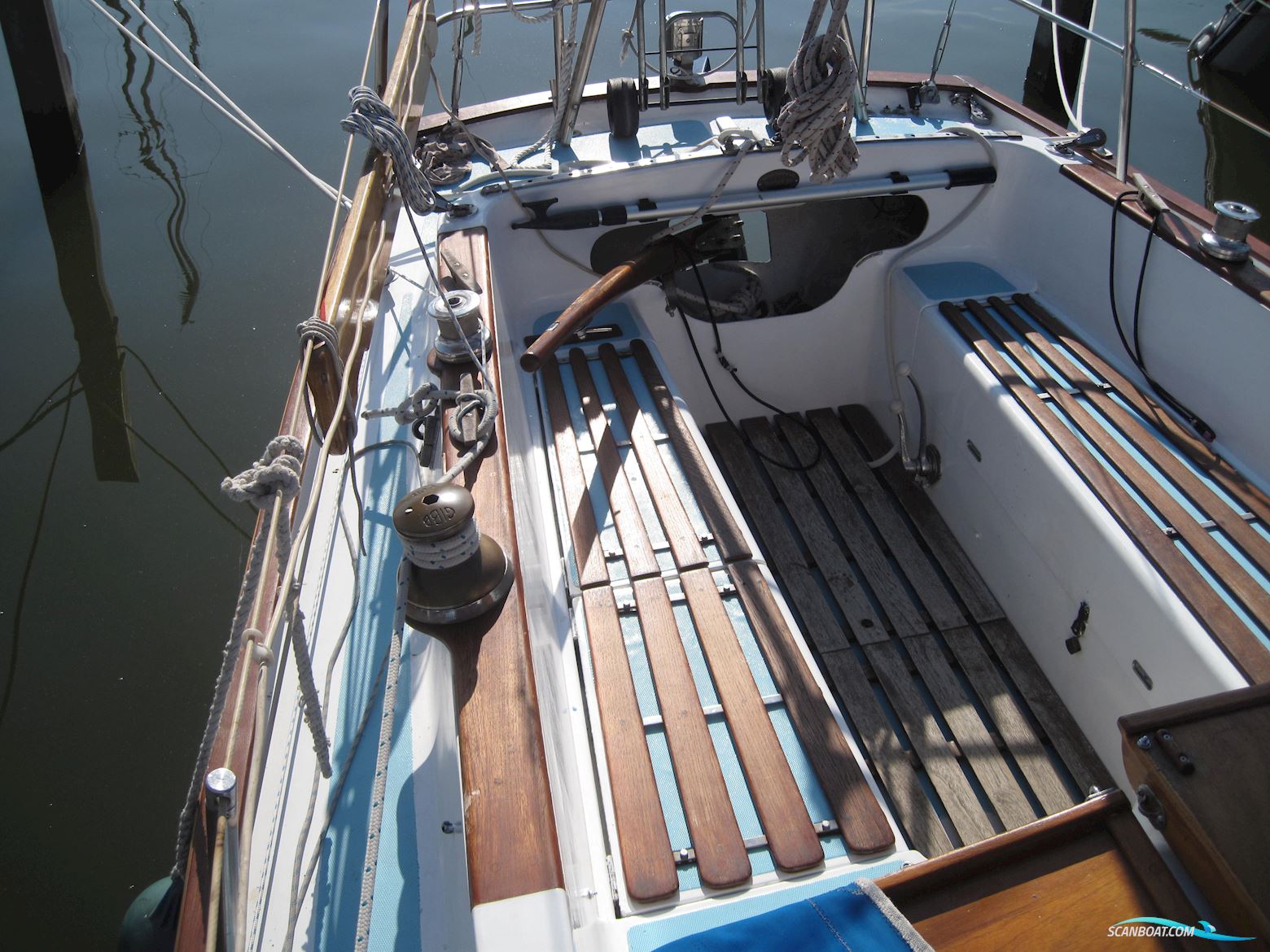 Rustler 31