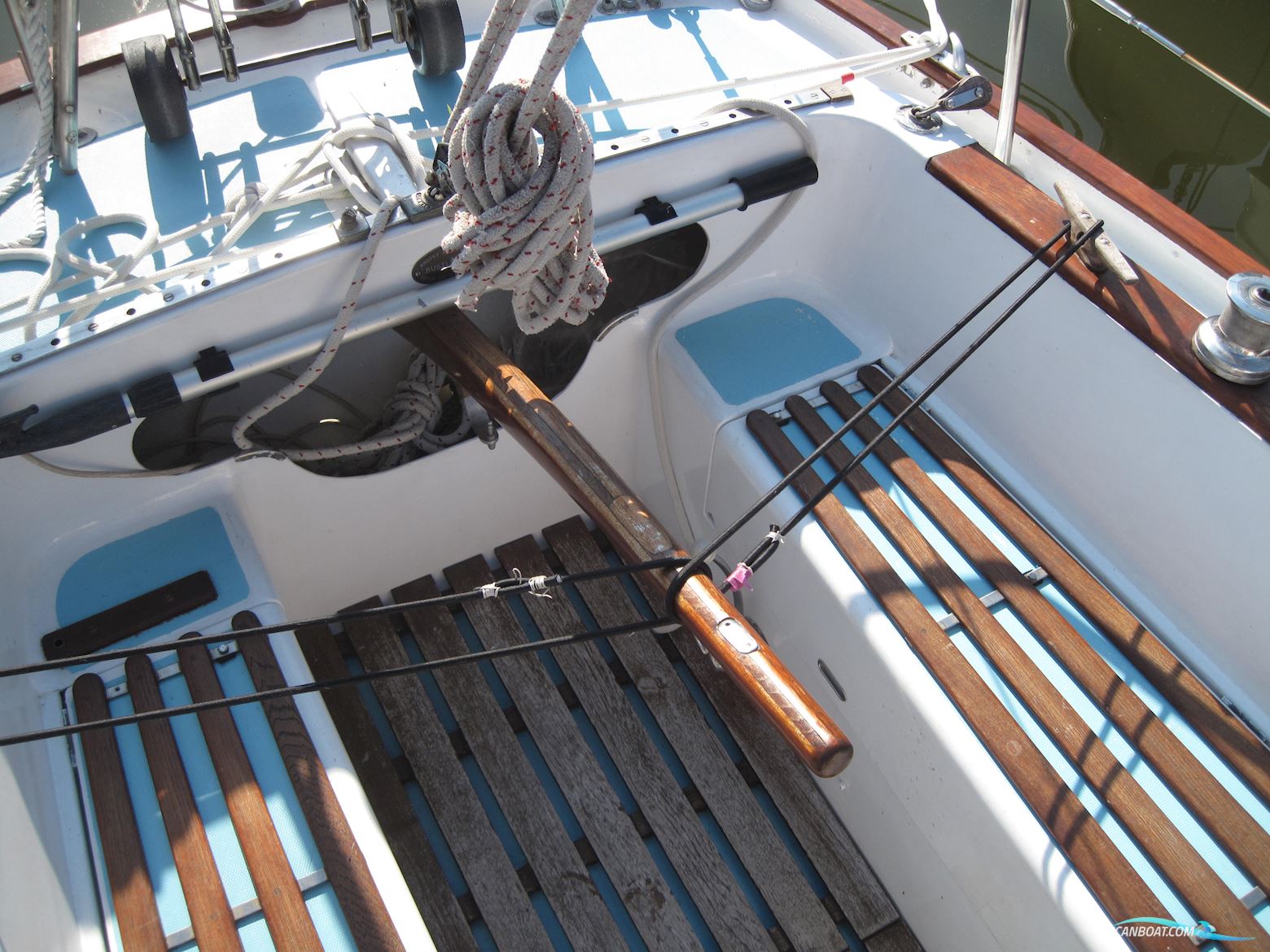 Rustler 31