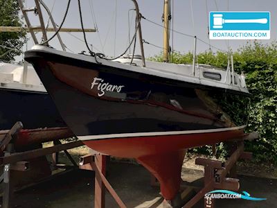 Saluki Kajuitzeiljacht Sejlbåd 1974, med Suzuki motor, Holland